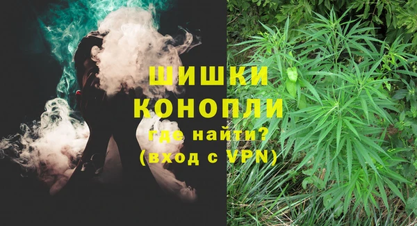 СК Бородино