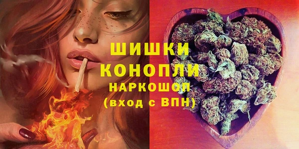 СК Бородино