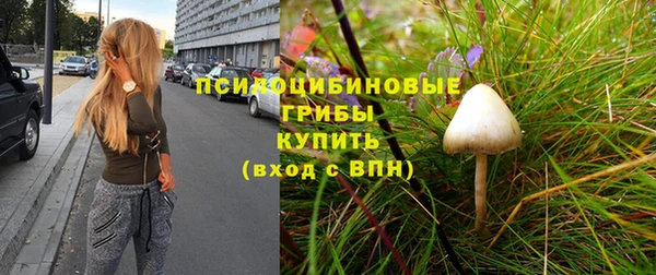 СК Бородино
