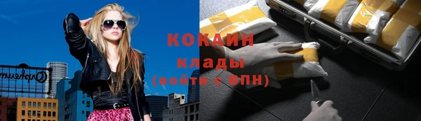 СК Бородино