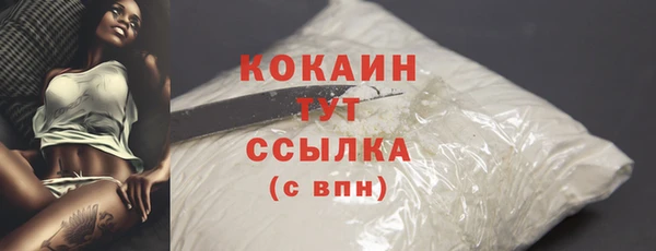 СК Бородино
