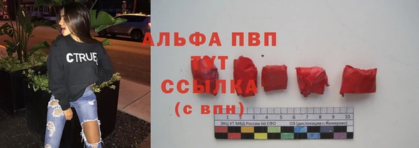 СК Бородино