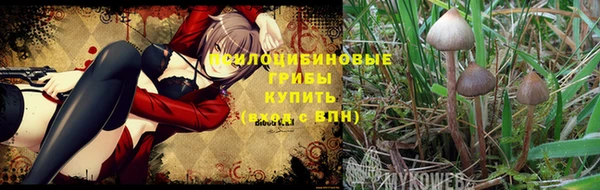 MDMA Premium VHQ Бугульма