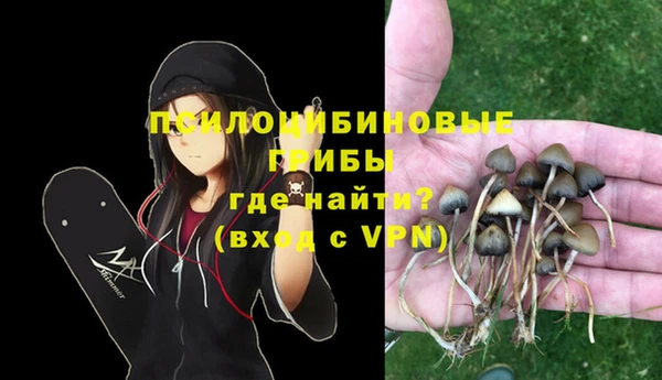 СК Бородино